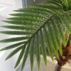 Palmera artificial Cocotero