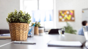 Planta artificial sobre escritorio de oficina