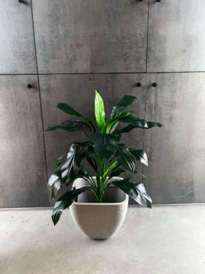 Maceta innovare piccolo cemento