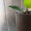 Maceta moderna conic cafe