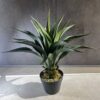 Tuna artificial Agave Americana