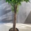 Planta artificial Arce