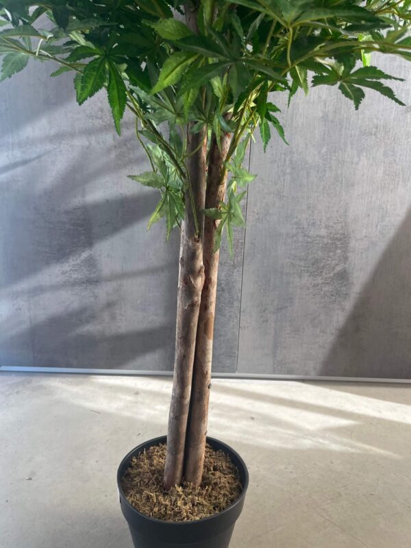 Planta artificial Arce