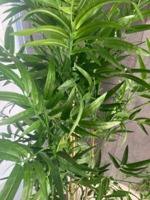 Planta artificial Bambú