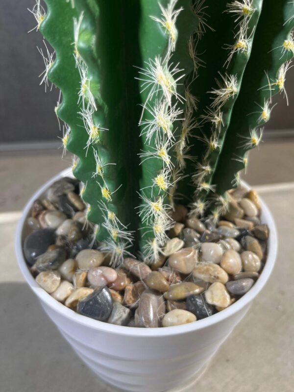 Cactus artificial