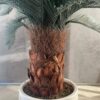 Palmera artificial Cyca