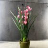 Planta artificial Cymbidium