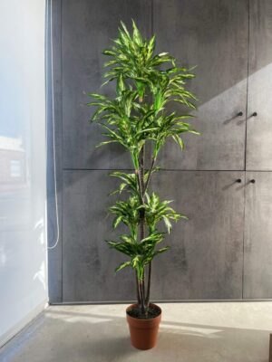 Planta artificial Dracaena