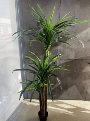 Planta artificial Dracaena Reflexa