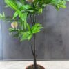 Arbusto artificial duraznero