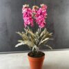 Planta artificial Espuela