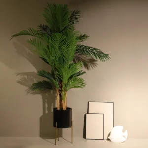 Palmeras