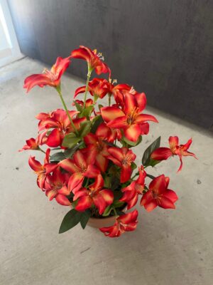 Planta artificial lilums