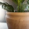 Maceta antique low