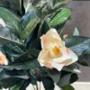 Planta artificial Magnolia