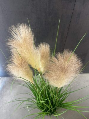 Planta artificial de pasto de caña de rio