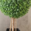 Planta artificial Boj