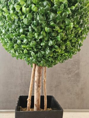 Planta artificial Boj