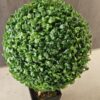 Planta artificial Boj