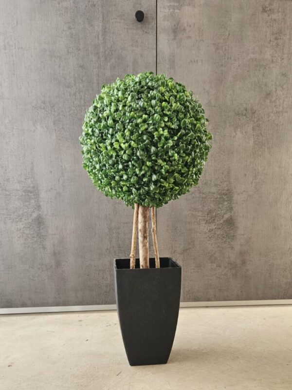 Planta artificial Boj
