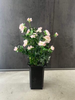 Planta artificial Cosmo