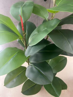 Planta artificial Caucho