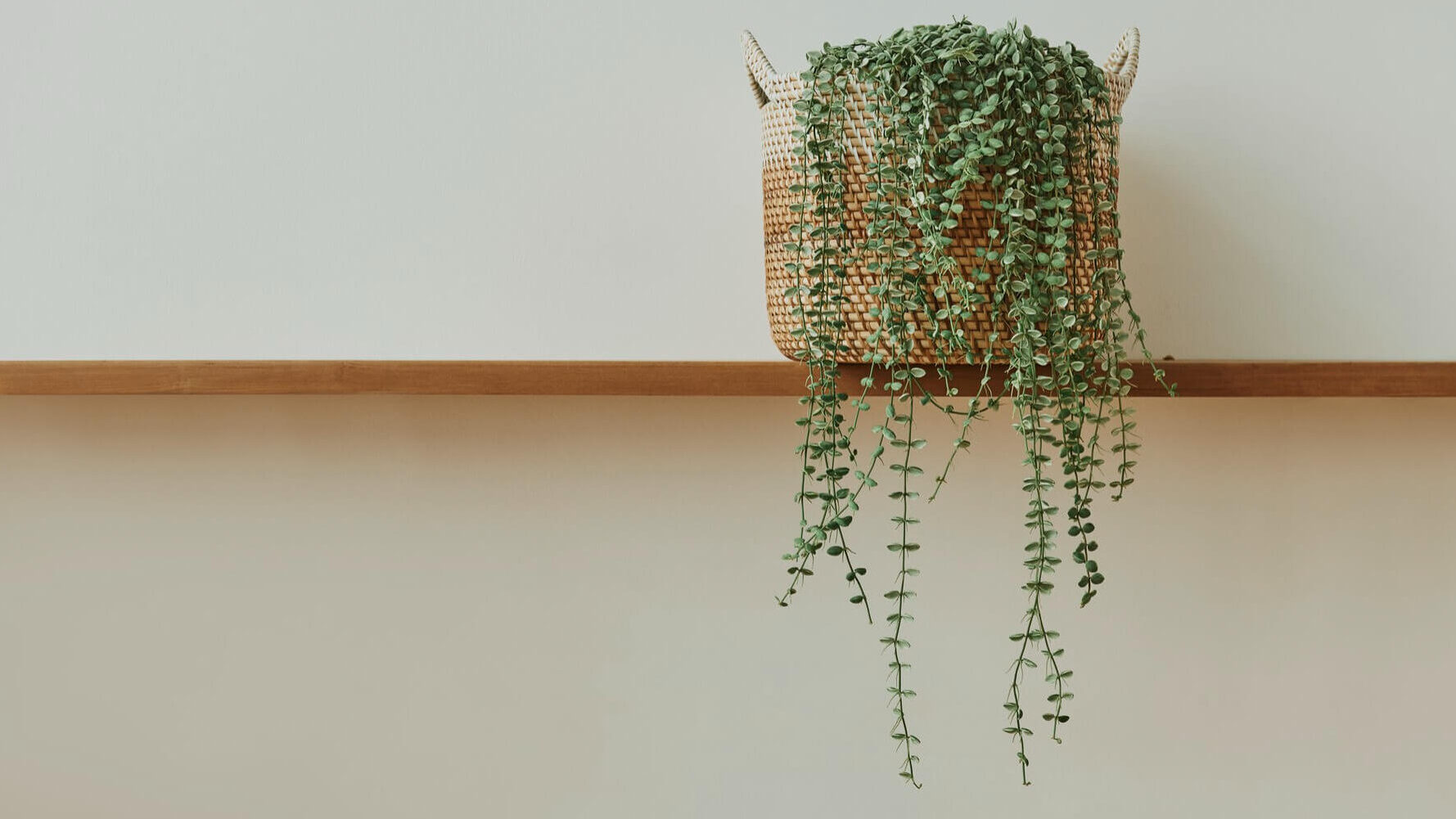 Plantas Artificiales para Espacios con Poca Luz Planta en una tabla elevada del suelo