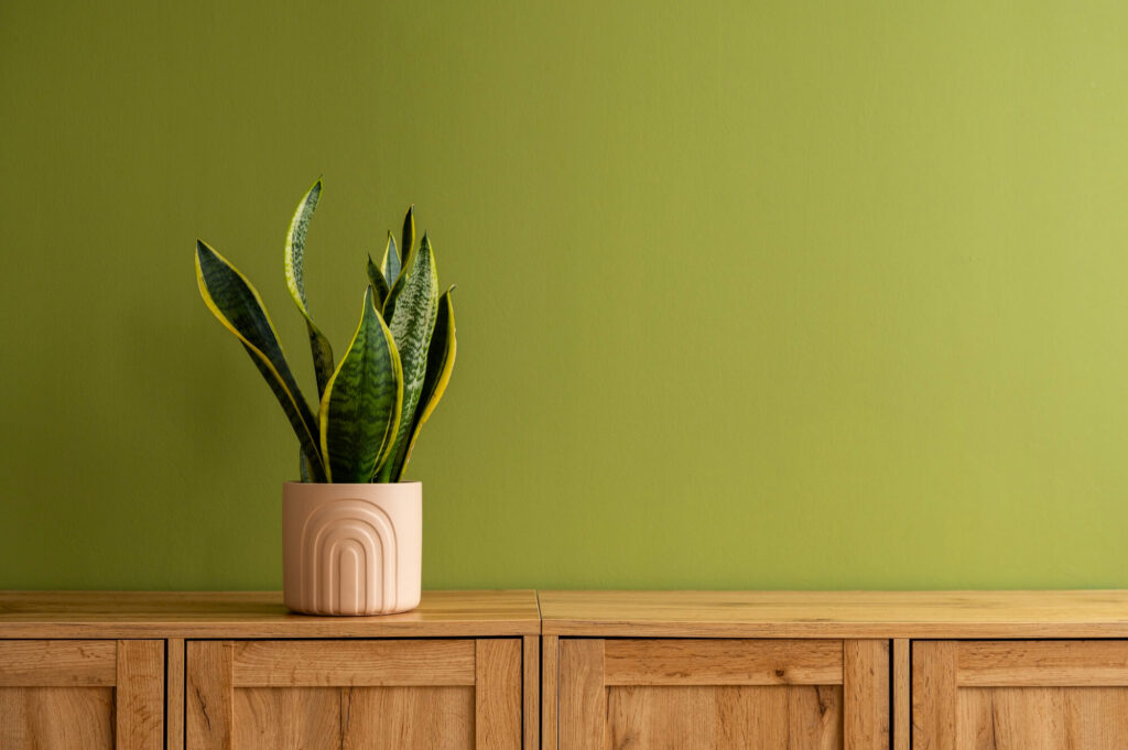 Planta sobre mesada