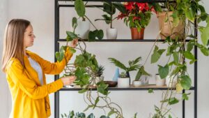 plantas artificiales en estantería