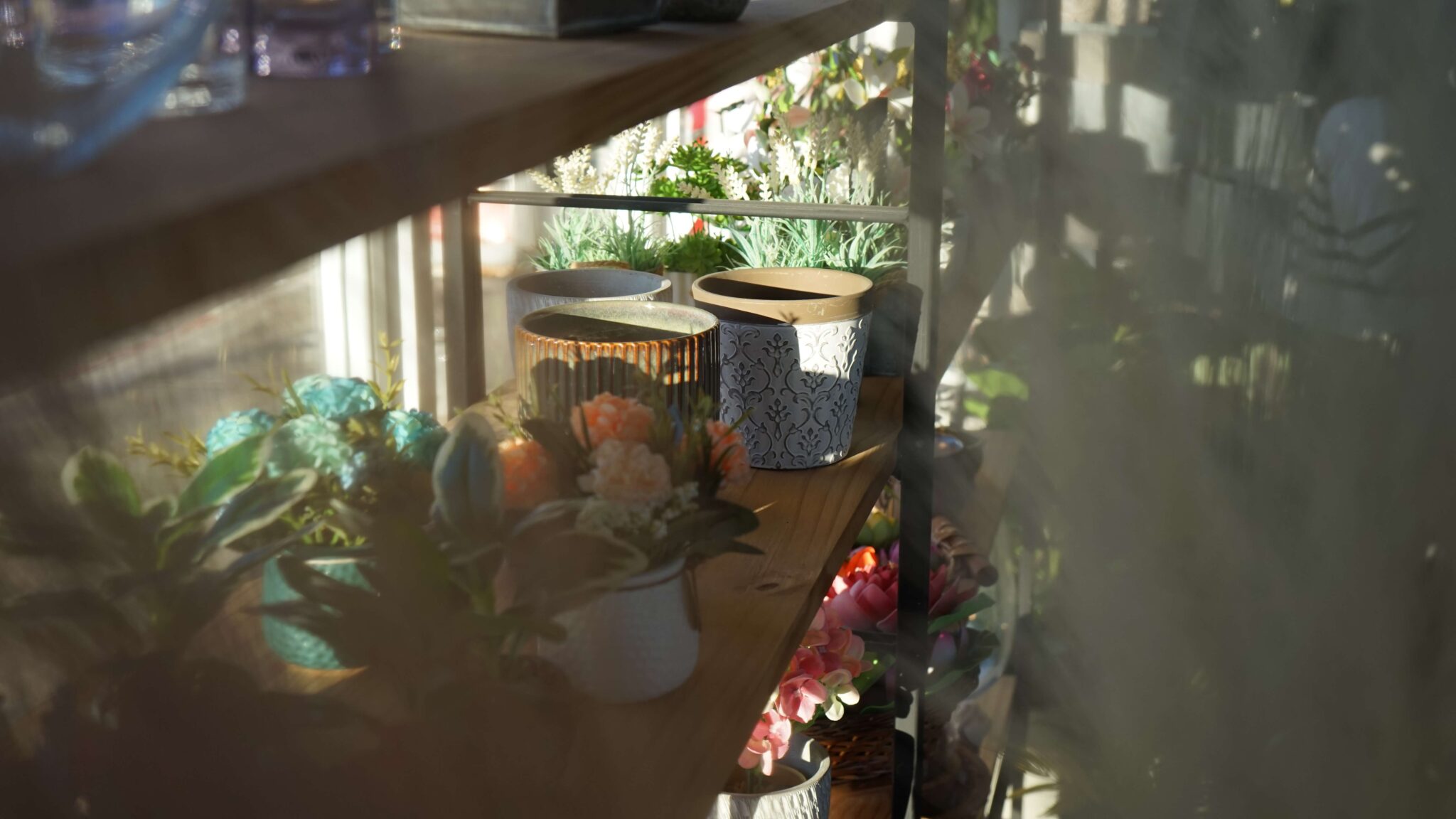 Macetas y plantas pequeñas sobre estanteria